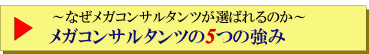 メガコンサルタンツの5つの強み