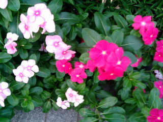 20110928163503.jpg