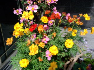 20110930120012.jpg
