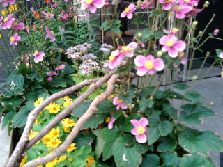 20111011125716.jpg