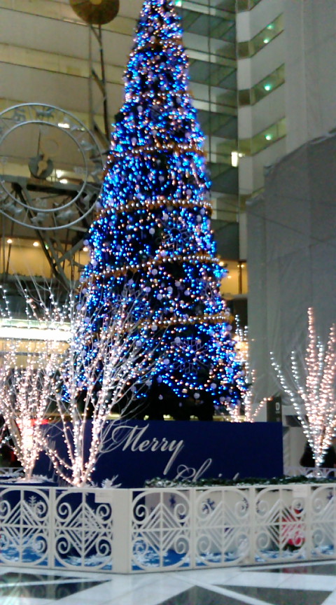 treetanaka20081214.jpg